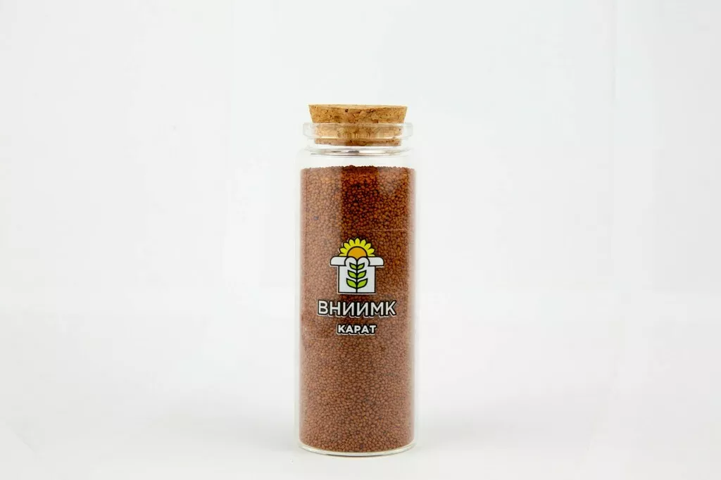 Фотография продукта Семена рыжика озимого вниимк сорт карат