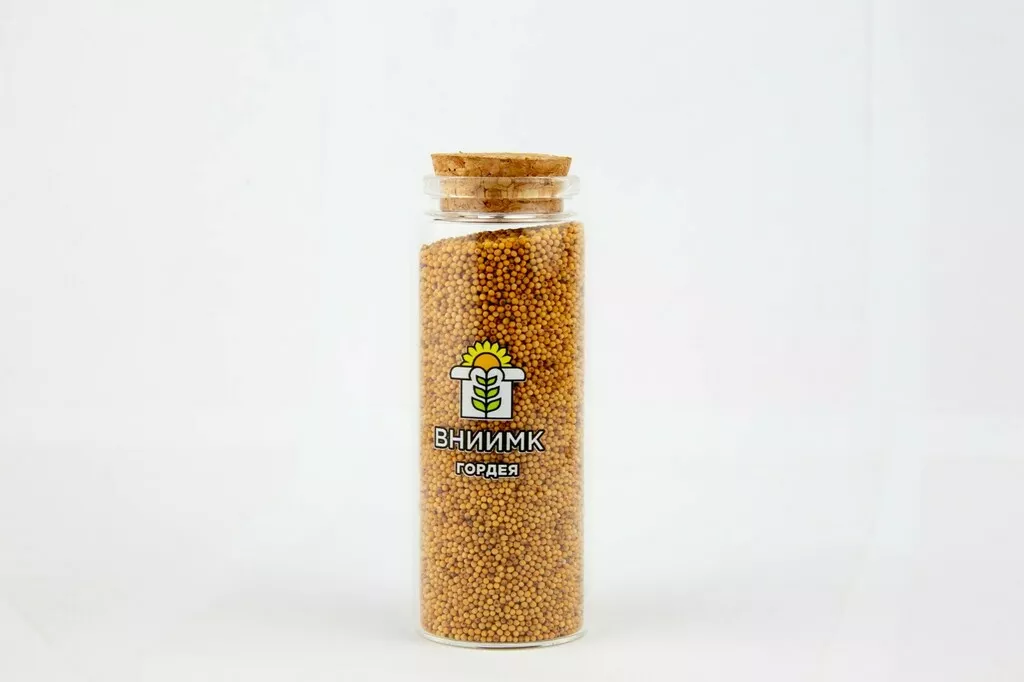Фотография продукта Семена сурепицы озимой сорт гордея